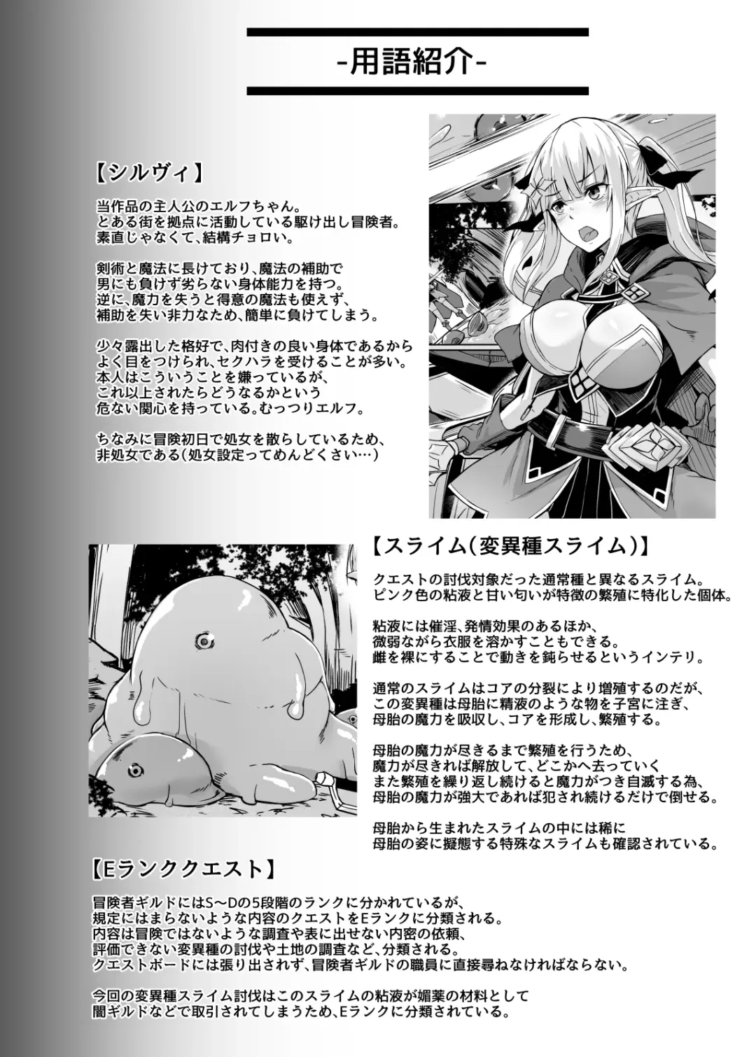 [Hirno] ELFIN QUEST #Slime Haiboku Hen Fhentai - Page 25