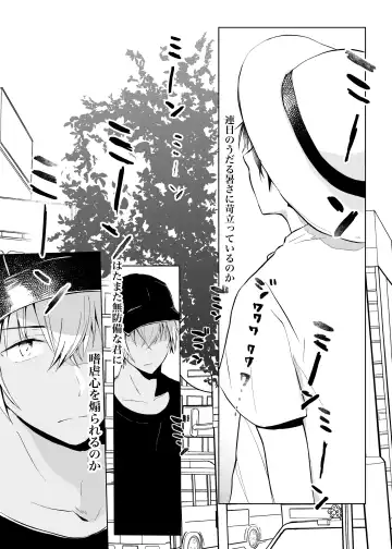 [Wataru] Utsusemi no Kageri Fhentai - Page 5