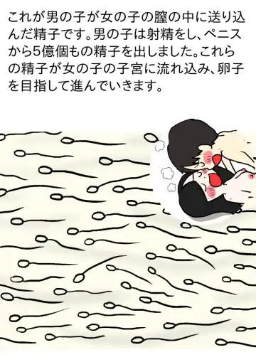 Shishunki o Mukaeta Otokonoko to Onnanoko no Tame no Ehon Aka-chan no Tsukurikata -Tottemo Kimochii Nakadashi Sex- Fhentai - Page 31