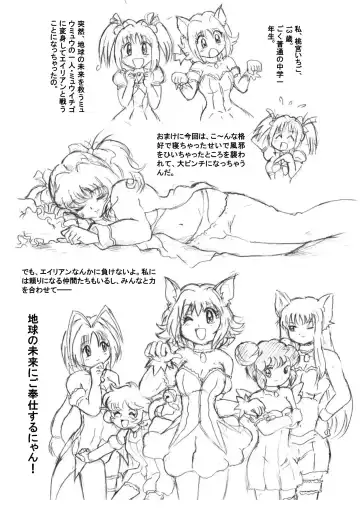 [Tyoujiya] Mew Ichigo Ryona & Ryoujoku Ehon Fhentai - Page 9