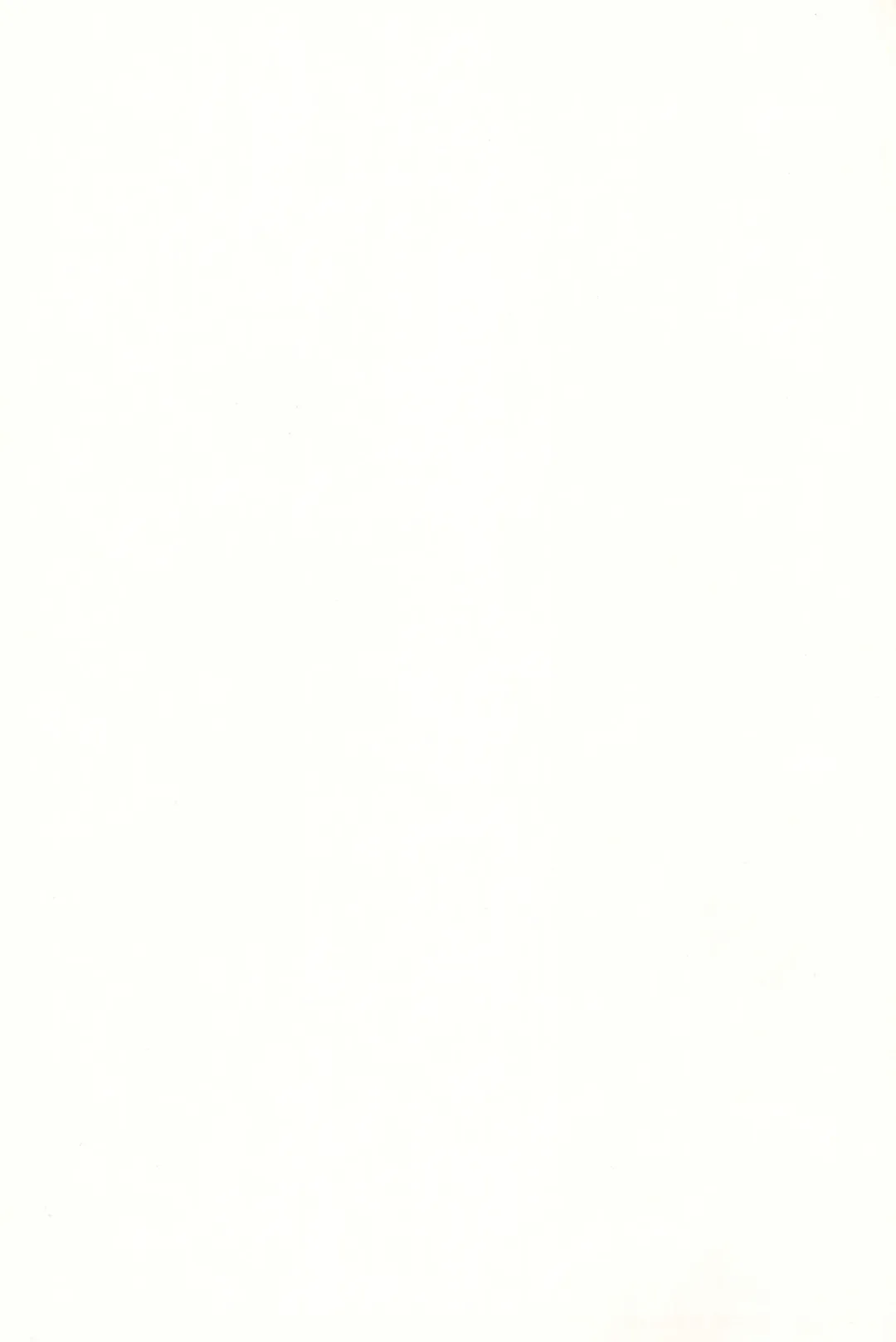 [Atage] Tsugou ga Yokute Kawaii Mesu. - Convenient and cute girl Fhentai - Page 199