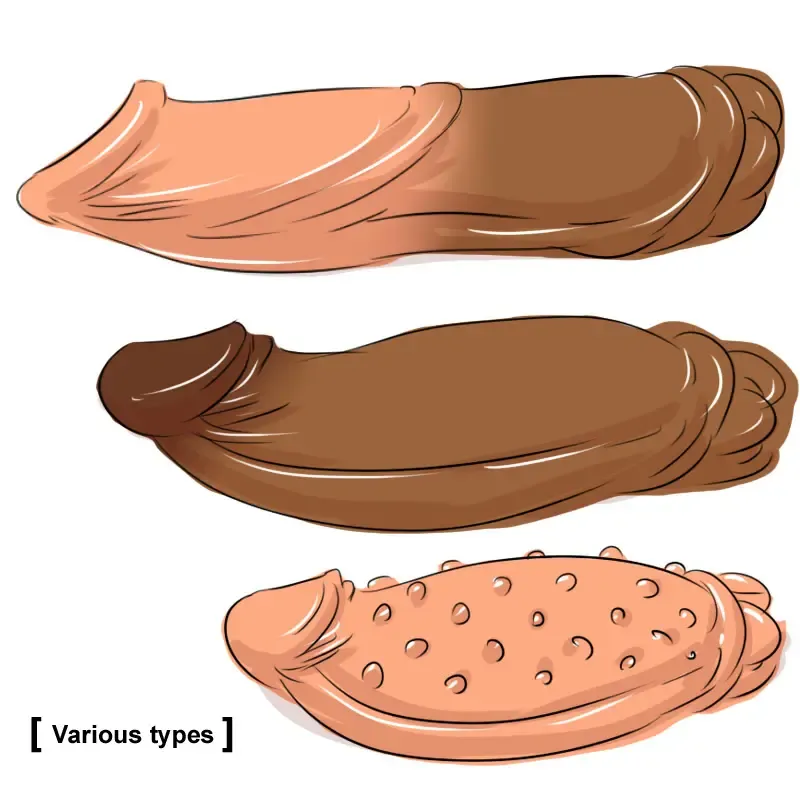 [Dr.bug] DR. Omonemushi Fhentai - Page 13