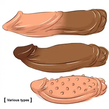 [Dr.bug] DR. Omonemushi Fhentai - Page 13