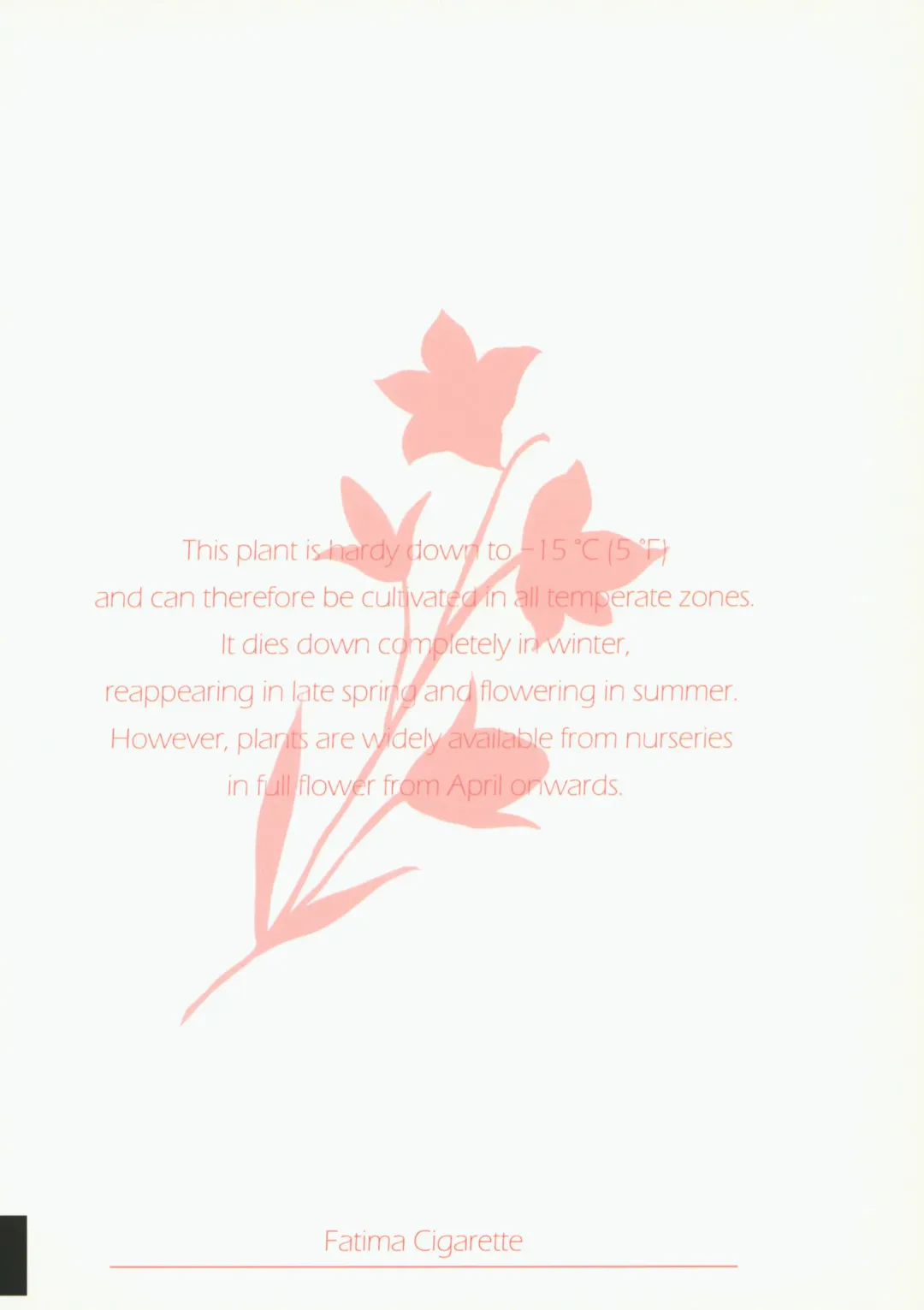 [Daki Makura] Onii-chan ga Genkinai kara SEX Shite Mita Fhentai - Page 26