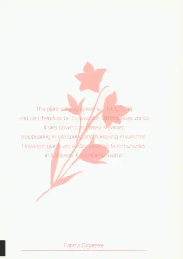 [Daki Makura] Onii-chan ga Genkinai kara SEX Shite Mita Fhentai - Page 26