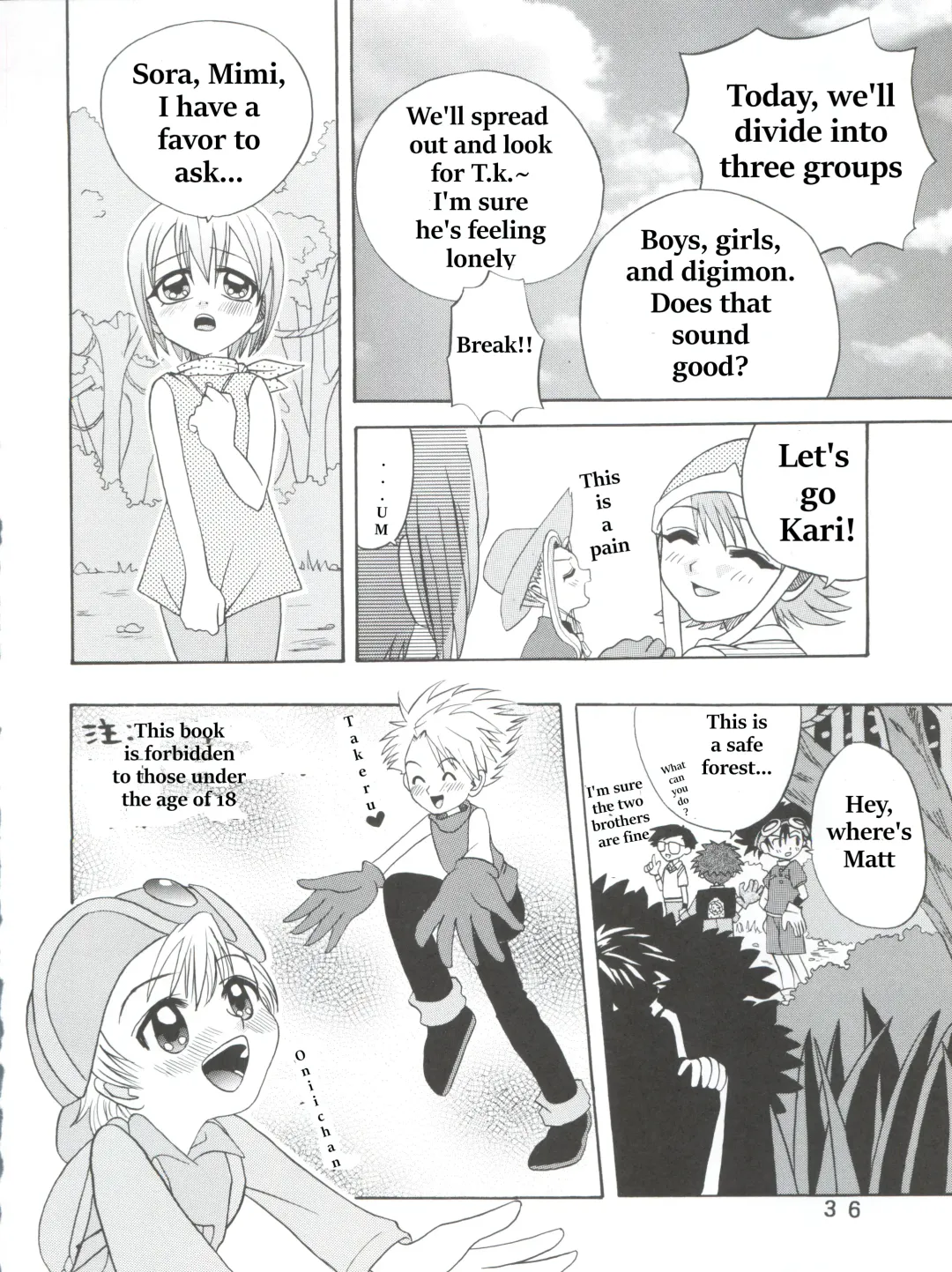[Shamon] Hikari Denpa-kei Fhentai - Page 4