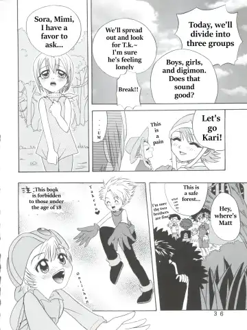 [Shamon] Hikari Denpa-kei Fhentai - Page 4