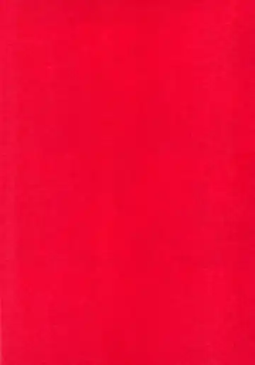 [Satomi] Agetai Futari | 最佳贈禮 Fhentai - Page 2