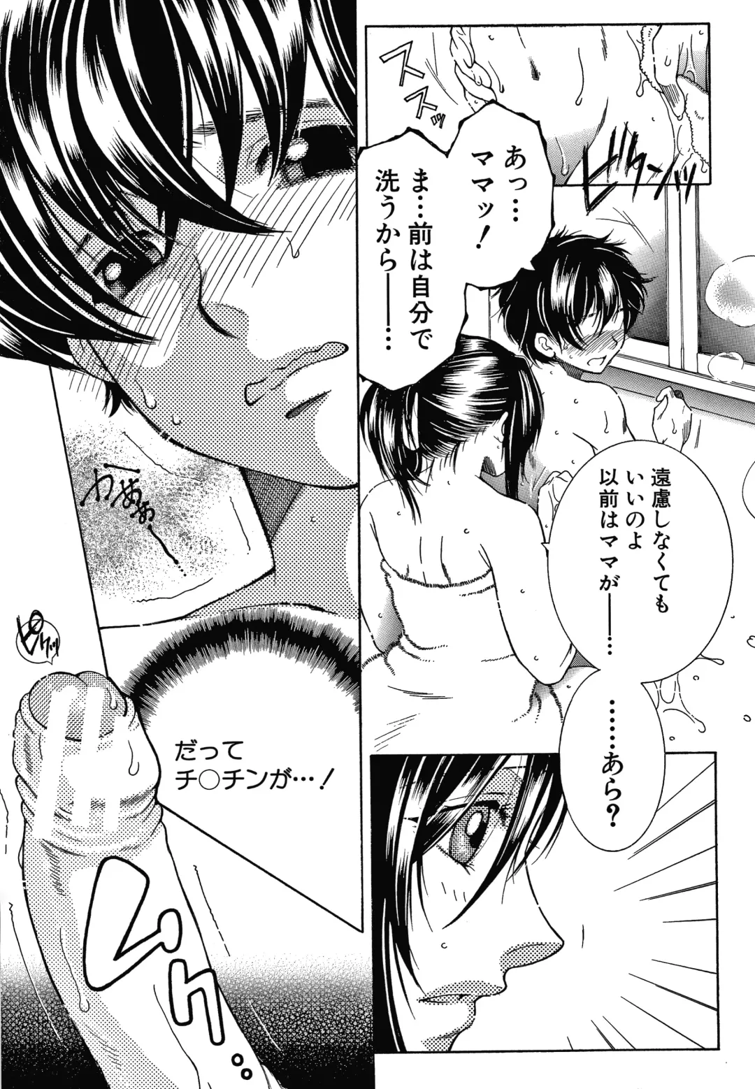 [Yasuhara Tsukasa] Boku no Yume wa Mama to Ecchi Suru Koto desu Fhentai - Page 15