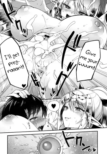 [Shindou] Shotaku-kun wa Elf no Hime-sama o Jouzu ni Haramaserareru kana? Fhentai - Page 25