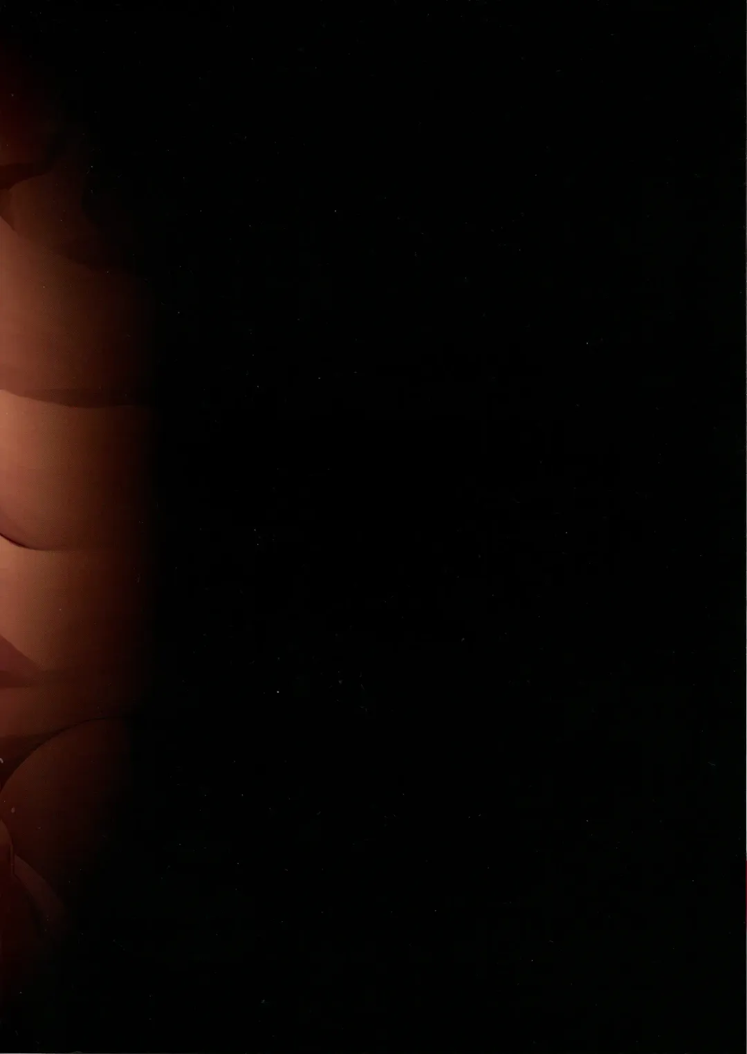 [Cyocyo] Meten Puela LEVEL3 Fhentai - Page 30