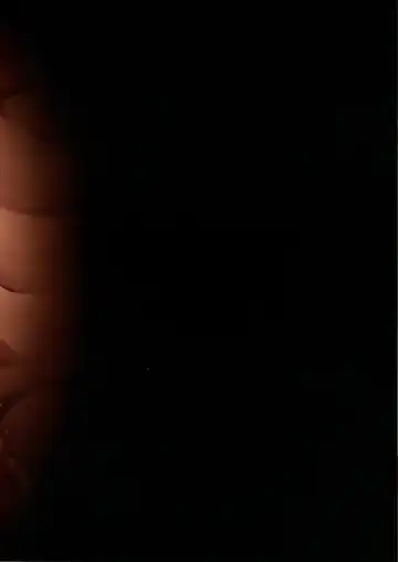 [Cyocyo] Meten Puela LEVEL3 Fhentai - Page 30