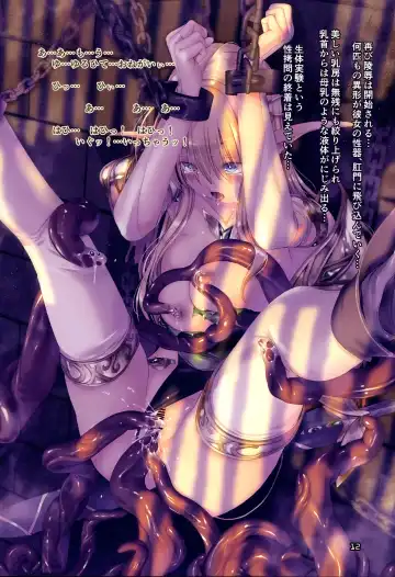 [Kirishima Satoshi] Dungeon Elf Destiny Fhentai - Page 11