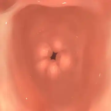 Yamato Fhentai - Page 4