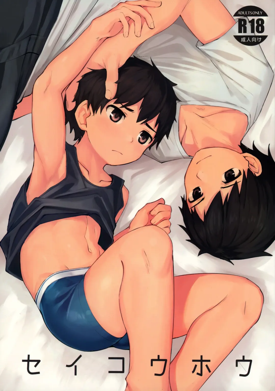 [Nayoshi] Seikouhou Fhentai - Page 1