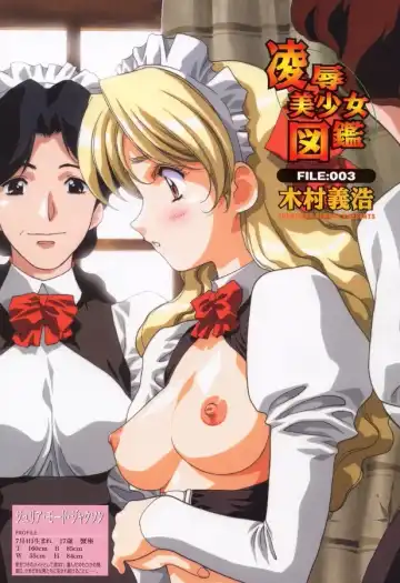 [Kimura Yoshihiro] Ryoujoku Bishoujo Zukan Fhentai - Page 9