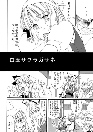 [Ero Koutei] 白玉サクラガサネ/サナギ Fhentai - Page 3