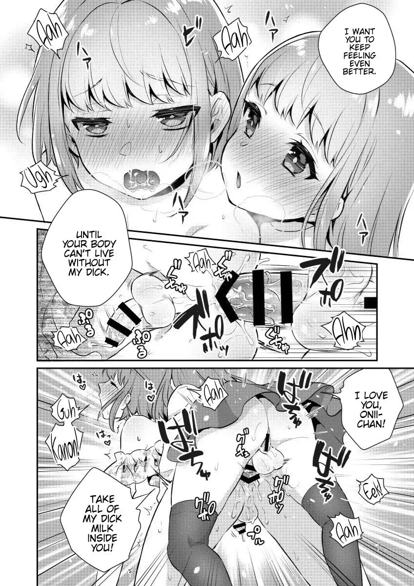 [Binto] Okkii Imouto Chicchai Ani Fhentai - Page 13
