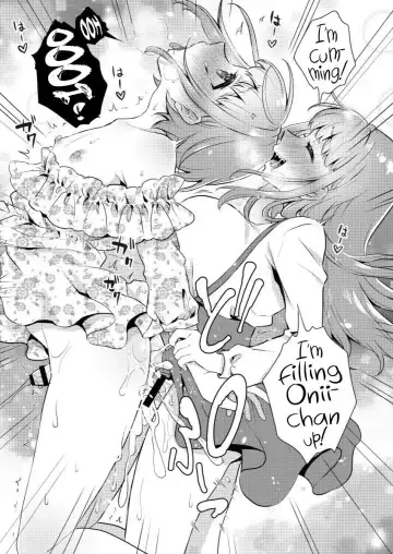 [Binto] Okkii Imouto Chicchai Ani Fhentai - Page 14