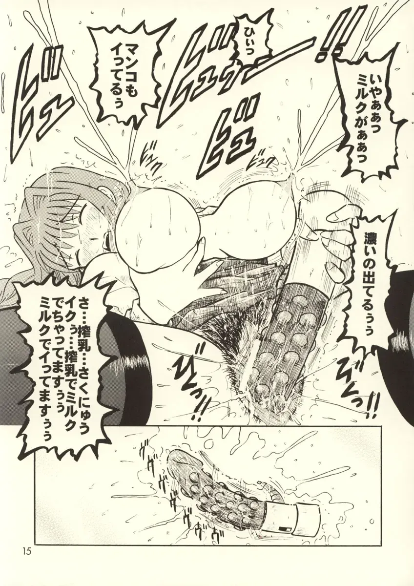 [Houou-tan] Hoshii no... Akiko-san Fhentai - Page 17