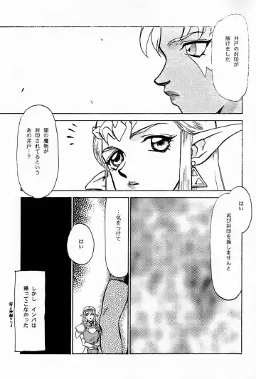 [Taira Hajime] NISE Zelda no Densetsu Prologue Fhentai - Page 10