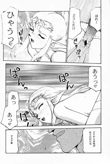[Taira Hajime] NISE Zelda no Densetsu Prologue Fhentai - Page 21