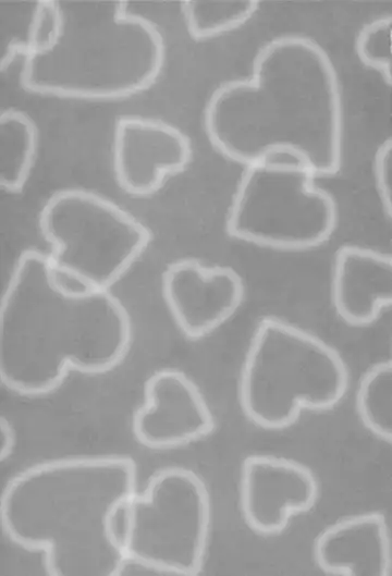 [Kawamori Misaki] Kanojo no Kimochi Fhentai - Page 5