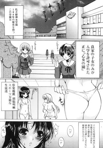 Futanarikko Lovers Fhentai - Page 54