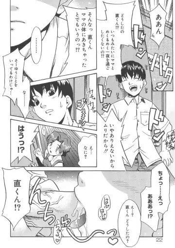 [Nekogen] 13cm Fhentai - Page 21