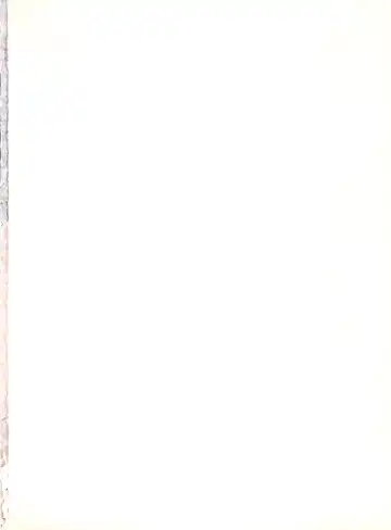 [Koyama Unkaku] Orange Road Sex 5 Fhentai - Page 2