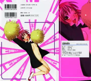 [Kitakawa Touta] Kitakawa Remix Fhentai - Page 4