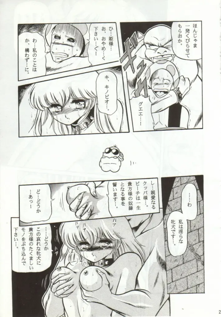 [Horikawa Gorou] Super Mario Collection Fhentai - Page 24
