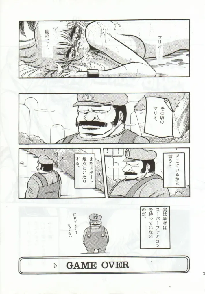 [Horikawa Gorou] Super Mario Collection Fhentai - Page 32