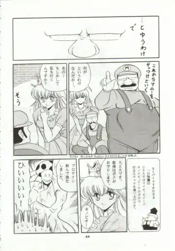 [Horikawa Gorou] Super Mario Collection Fhentai - Page 41