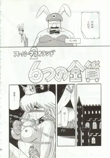 [Horikawa Gorou] Super Mario Collection Fhentai - Page 51