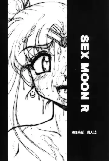 [A-teru Haito] SMR | Sex Moon Return Fhentai - Page 2