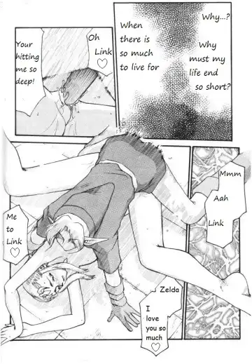[Taira Hajime] Legend of Zelda; Zelda's Strive Fhentai - Page 9