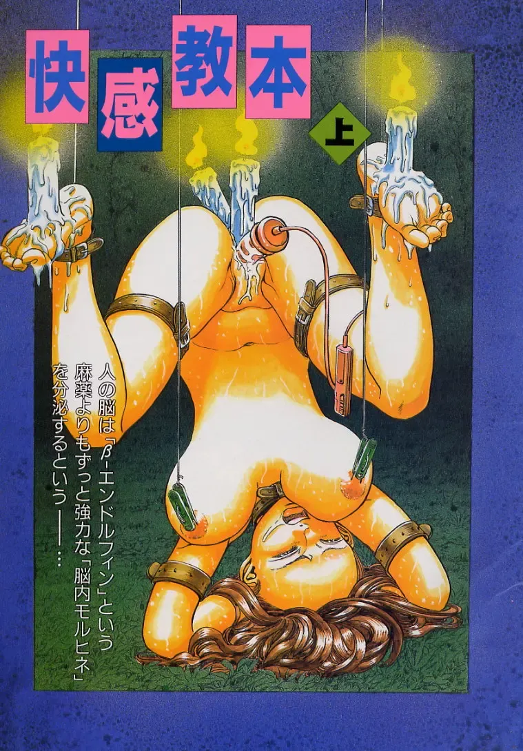 [Persona] Kaikan Kyouhon | Sexual Text Fhentai - Page 7