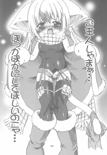 [Chilitan - Nikusyo - R-koga] Nekodanro Fhentai - Page 16