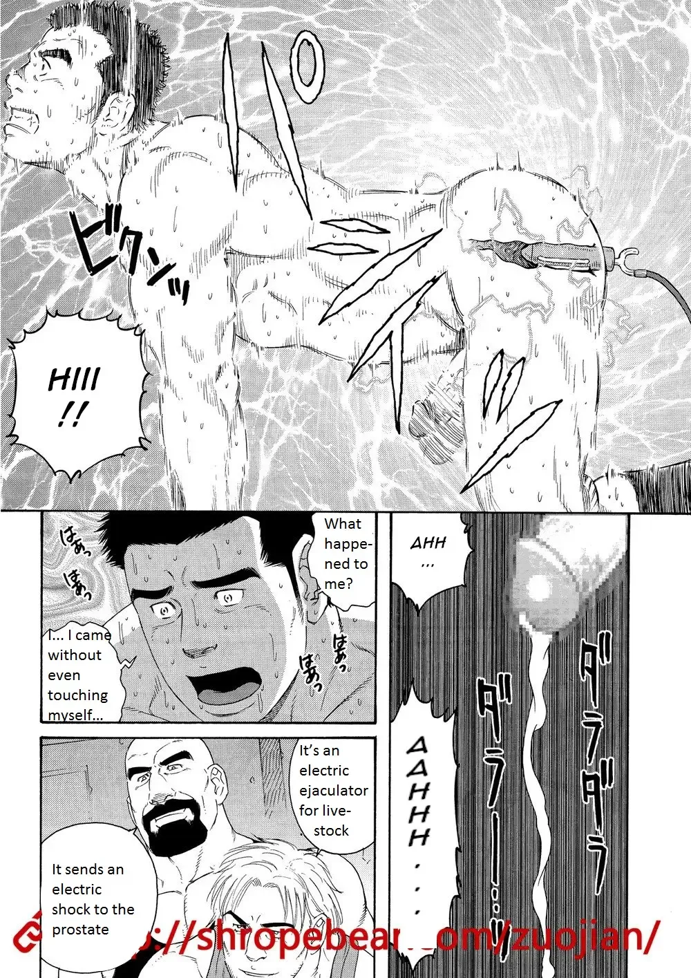 [Tagame Gengoroh] Dorei Choukyou Gasshuku | Slave Training Summer Camp Fhentai - Page 41