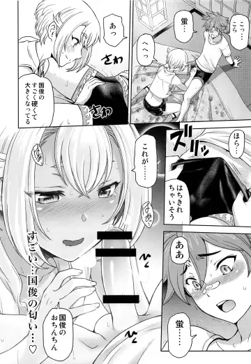 [Sena Youtarou] Hotaru Maniacs Fhentai - Page 15