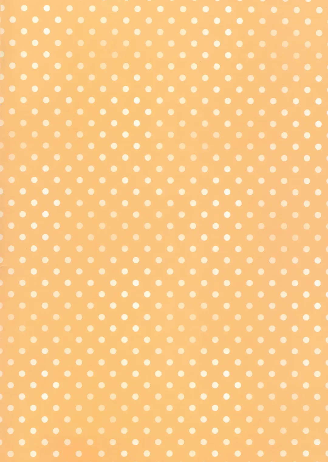 [Tamakake] Imouto to Hajimemashita Fhentai - Page 2