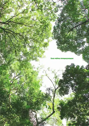 Oba-san no Karada ga Kimochiyo Sugiru kara ~Boku no Oba-san wa Chou Meiki Datta~ 2 | Тело тёти потрясающее 2 Fhentai - Page 3