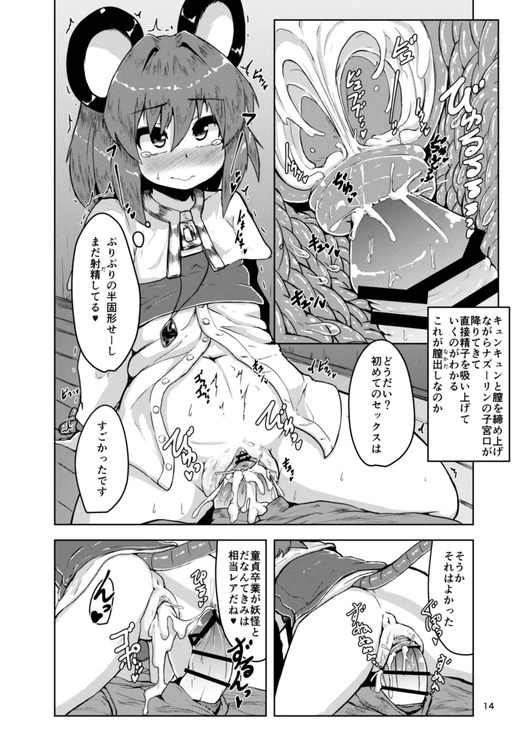 [Peso] Otonari wa Nazrin Fhentai - Page 14