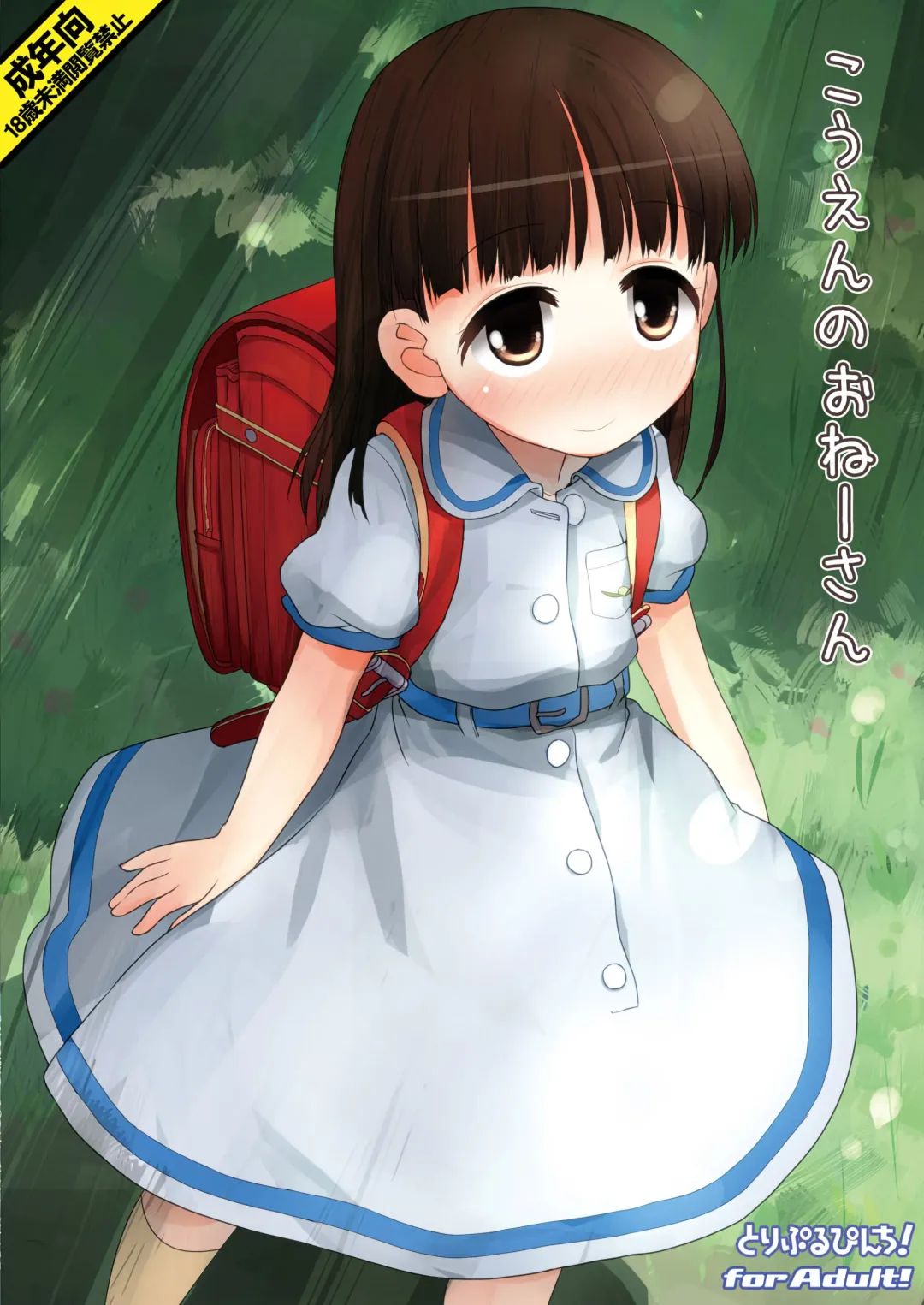 [Hikami Izuto] Kouen no Onee-san (decensored) Fhentai - Page 28