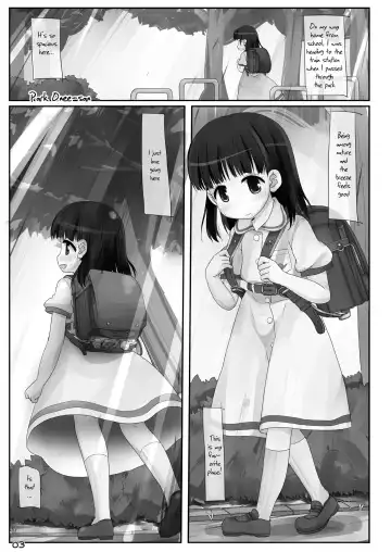 [Hikami Izuto] Kouen no Onee-san (decensored) Fhentai - Page 3