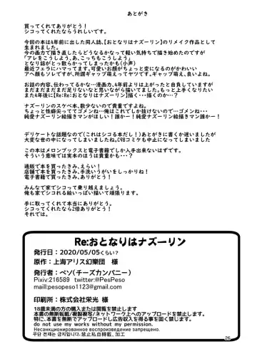 [Peso] Re: Otonari wa Nazrin Fhentai - Page 26