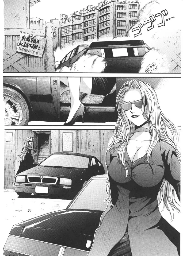 [Mac-v] Kageki Na Shukujo Fhentai - Page 41