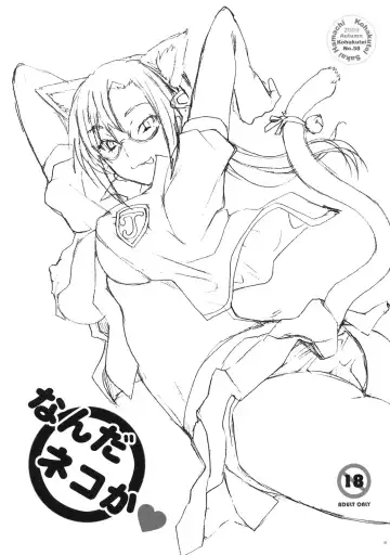 [Sakai Hamachi] Nanda Neko ka Fhentai - Page 2