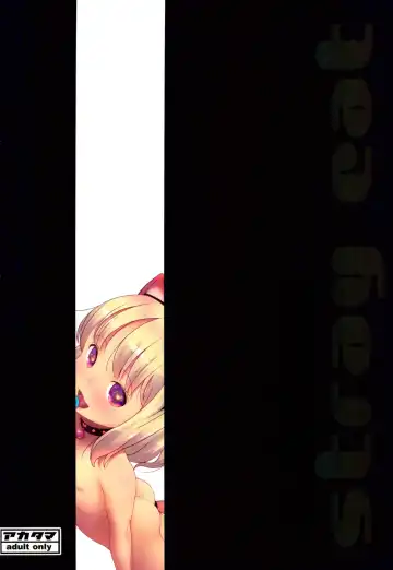 [Sakurafubuki Nel] Stray cat Fhentai - Page 23